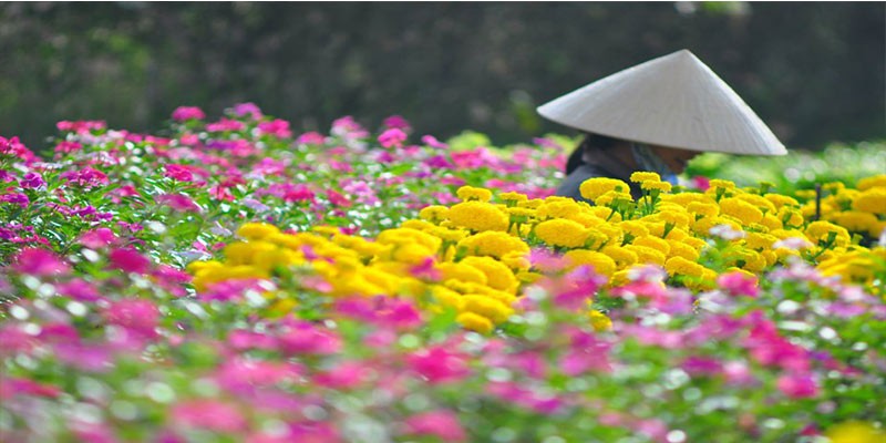 Tour Ngoại Thành Đà Lạt Chuyến Đi Không Thể Bỏ Lỡ
