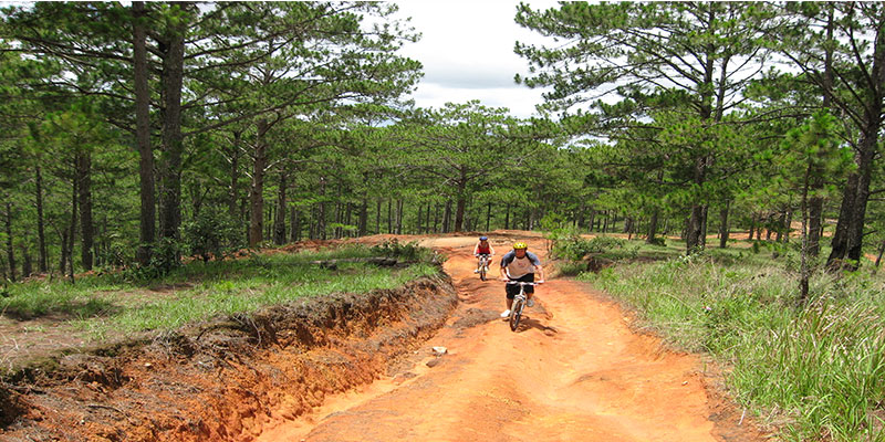 Southern biking challenge