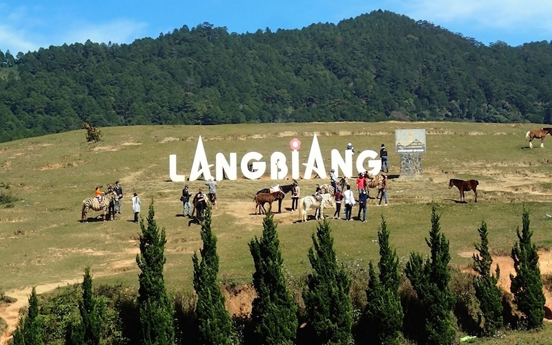 TOUR THAM QUAN LEO NÚI LANGBIANG ĐÀ LẠT 1 NGÀY